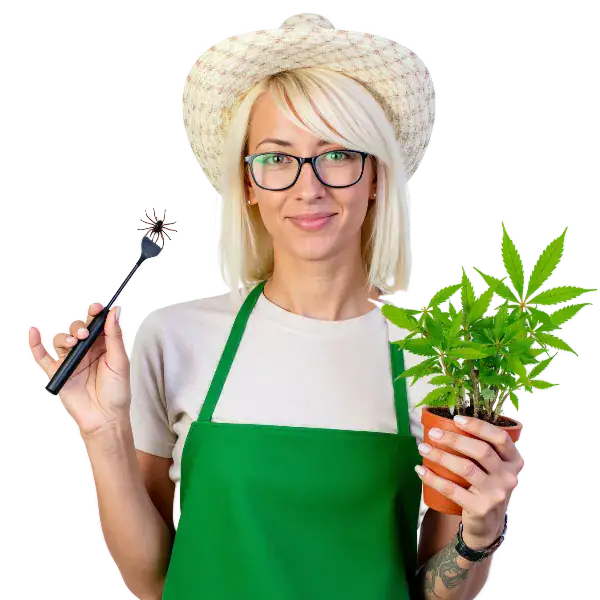 grow cannabis bugs & diseases image